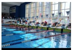 Úspešná účasť žilinských plavcov na Majstrovstvách SR OPEN 2019